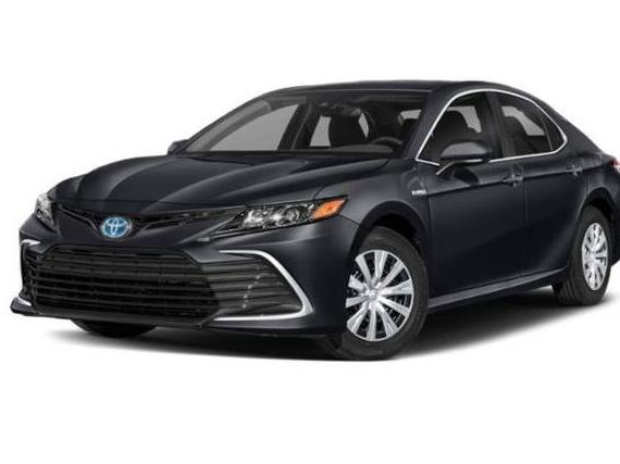 TOYOTA CAMRY 2021 4T1C31AK7MU562031 image