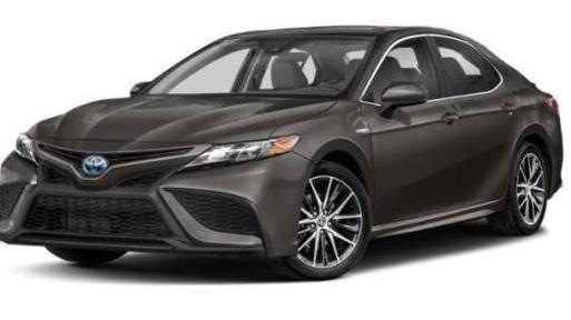 TOYOTA CAMRY 2021 4T1S31AK3MU559204 image