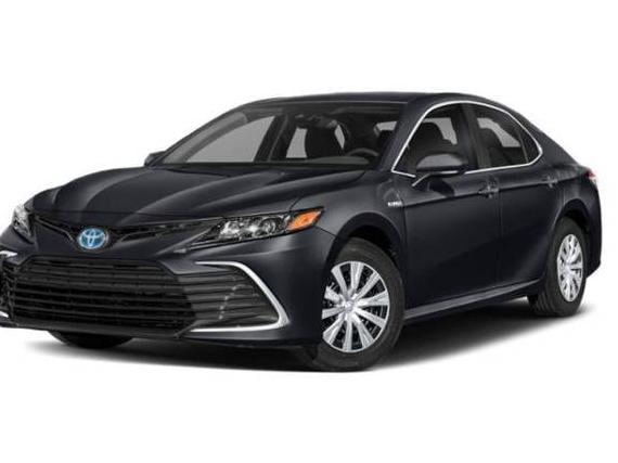 TOYOTA CAMRY 2021 4T1C31AK5MU561184 image TOYOTA CAMRY 2021 4T1C31AK5MU561184 image