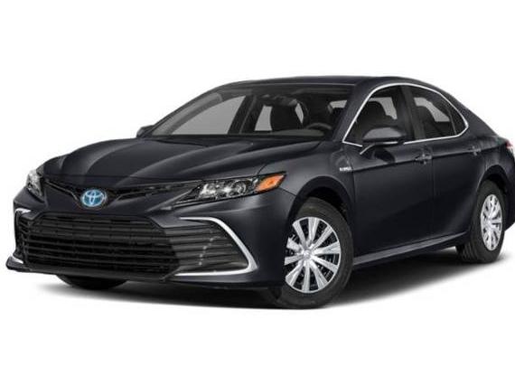 TOYOTA CAMRY 2021 4T1C31AK3MU561457 image