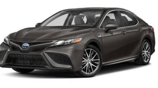 TOYOTA CAMRY 2021 4T1G31AK8MU569359 image