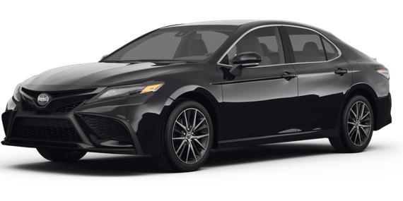 TOYOTA CAMRY 2024 4T1G11AK7RU208248 image