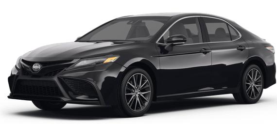 TOYOTA CAMRY 2024 4T1G11AK5RU245086 image