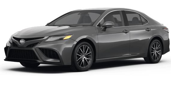 TOYOTA CAMRY 2024 4T1G31AK6RU065867 image