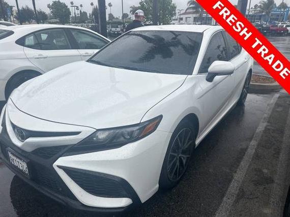 TOYOTA CAMRY 2024 4T1G11AK8RU888788 image