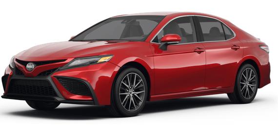 TOYOTA CAMRY 2024 4T1G11AK3RU218694 image