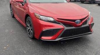 TOYOTA CAMRY 2024 4T1G31AK7RU070088 image