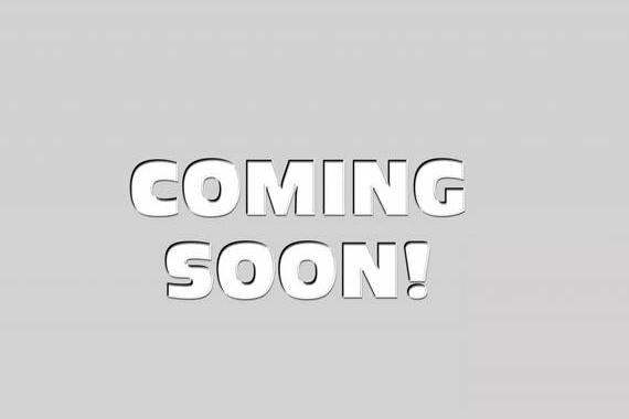 TOYOTA CAMRY 2024 4T1G11AK1RU903647 image