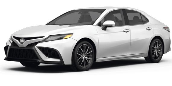 TOYOTA CAMRY 2024 4T1G31AK1RU622927 image