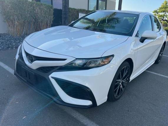 TOYOTA CAMRY 2024 4T1G11AKXRU195155 image