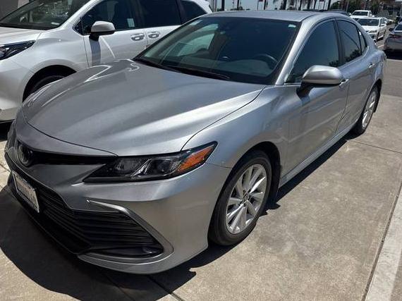 TOYOTA CAMRY 2024 4T1C11AK9RU868418 image