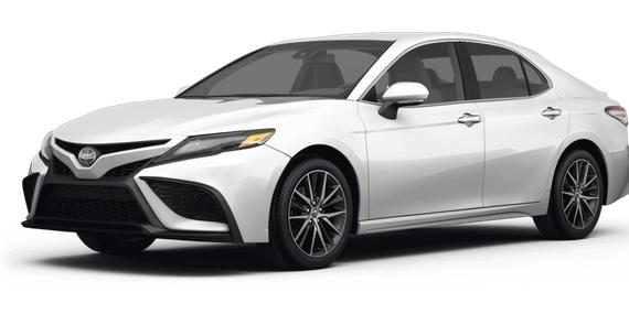 TOYOTA CAMRY 2024 4T1G11AK2RU890620 image