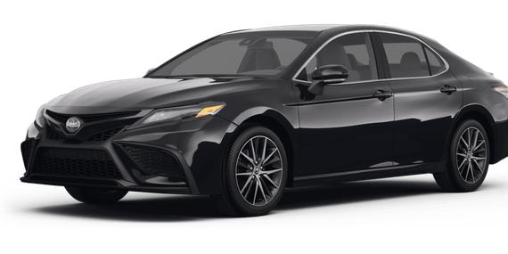TOYOTA CAMRY 2024 4T1G11AK9RU257399 image