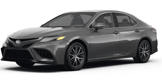 TOYOTA CAMRY 2024 4T1G31AK7RU063495 image