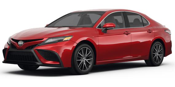 TOYOTA CAMRY 2024 4T1T11AK6RU233558 image