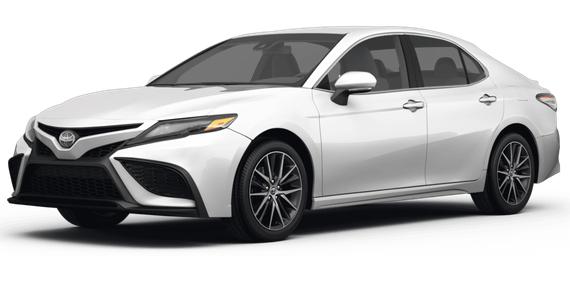 TOYOTA CAMRY 2024 4T1G11BK0RU111309 image