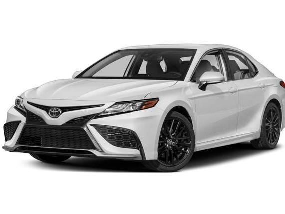 TOYOTA CAMRY 2024 4T1G11AK7RU208699 image