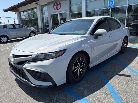 TOYOTA CAMRY 2024 4T1G31AK4RU059758 image