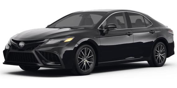 TOYOTA CAMRY 2024 4T1G31AK4RU070632 image