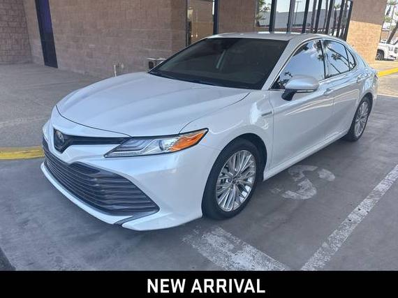 TOYOTA CAMRY 2020 4T1F31AK5LU009499 image