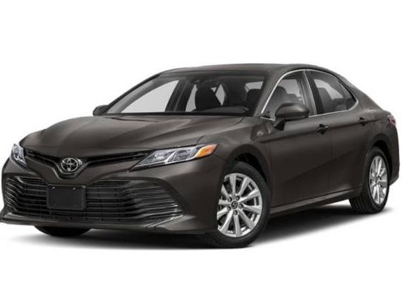 TOYOTA CAMRY 2020 4T1C11AK3LU876702 image
