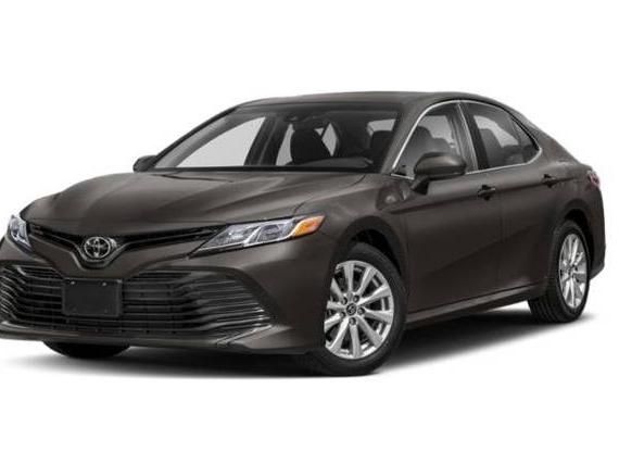 TOYOTA CAMRY 2020 4T1C11AK2LU961787 image