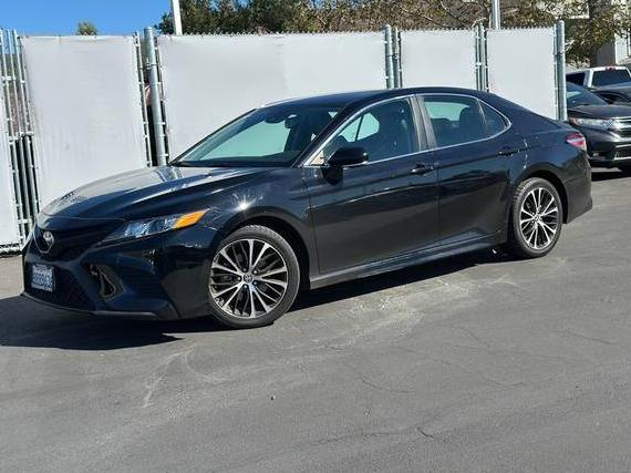 TOYOTA CAMRY 2020 4T1M11AK8LU955836 image