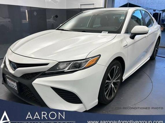 TOYOTA CAMRY 2020 4T1G31AK2LU537859 image