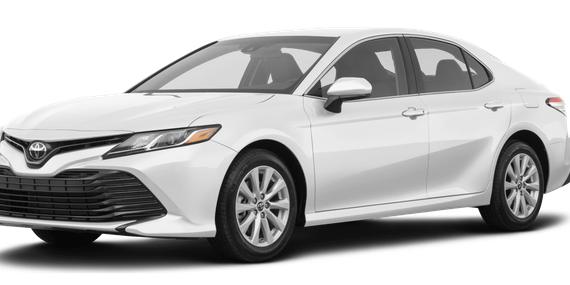 TOYOTA CAMRY 2020 4T1C11AKXLU333170 image