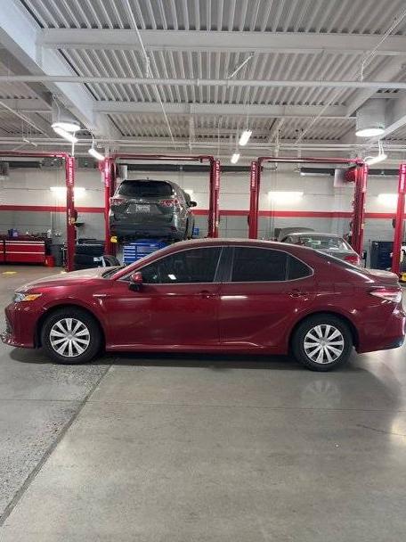 TOYOTA CAMRY 2020 4T1C31AK8LU542398 image