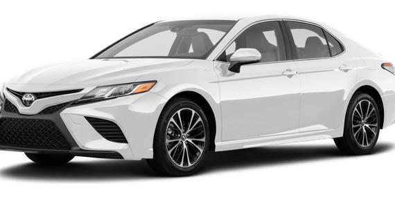 TOYOTA CAMRY 2020 4T1G11AK7LU376673 image