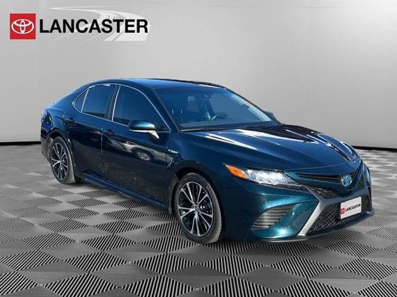 TOYOTA CAMRY 2020 4T1J31AK3LU538864 image