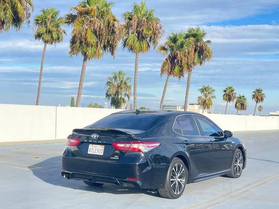 TOYOTA CAMRY 2020 4T1G31AK9LU546218 image TOYOTA CAMRY 2020 4T1G31AK9LU546218 image