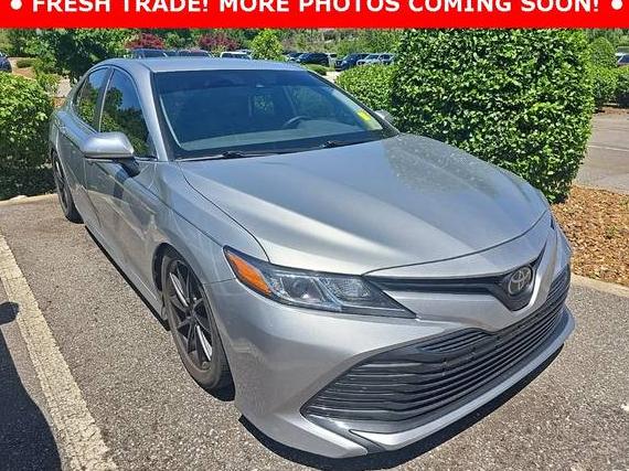 TOYOTA CAMRY 2020 4T1L11AKXLU343536 image