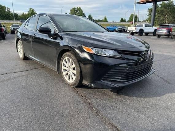 TOYOTA CAMRY 2020 4T1C11AK4LU952072 image