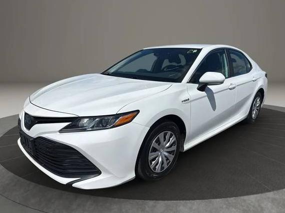 TOYOTA CAMRY 2020 4T1L31AK5LU017329 image