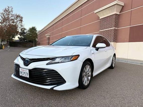 TOYOTA CAMRY 2020 4T1C31AK6LU531738 image