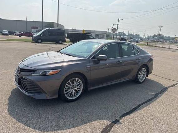 TOYOTA CAMRY 2020 4T1F31AK7LU019483 image