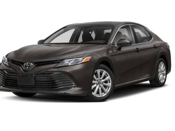 TOYOTA CAMRY 2020 4T1C11AK8LU881152 image