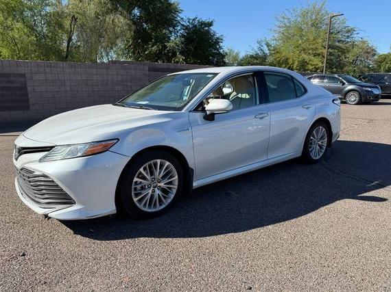 TOYOTA CAMRY 2020 4T1F31AK3LU541124 image TOYOTA CAMRY 2020 4T1F31AK3LU541124 image