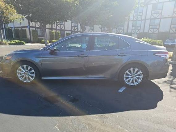 TOYOTA CAMRY 2020 4T1C11AK7LU996972 image