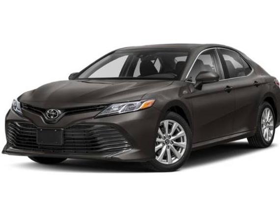 TOYOTA CAMRY 2020 4T1C11AKXLU366895 image