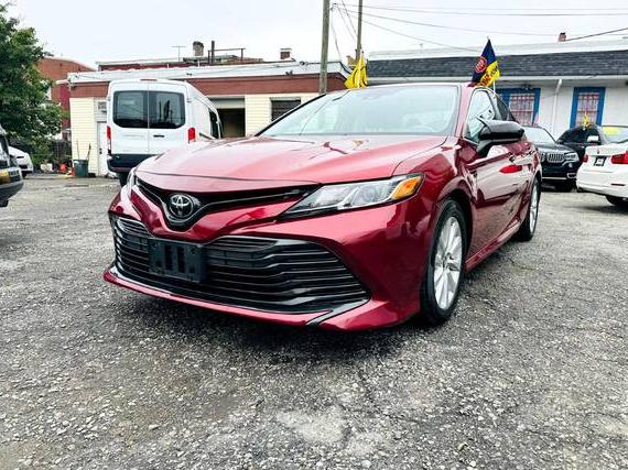 TOYOTA CAMRY 2020 4T1C11AKXLU331306 image