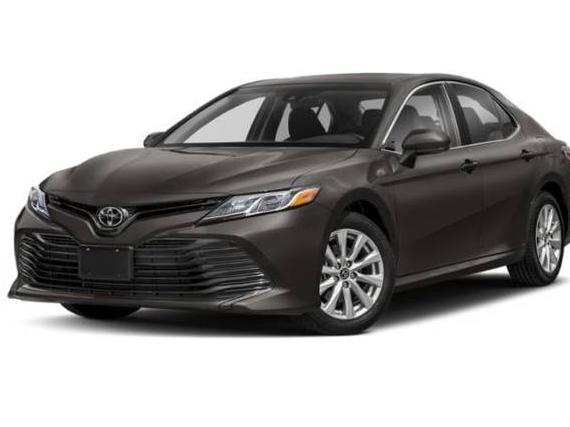 TOYOTA CAMRY 2020 4T1C11AK6LU344487 image