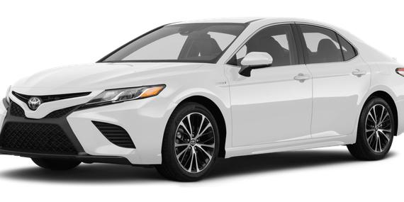 TOYOTA CAMRY 2020 4T1J31AK4LU546262 image