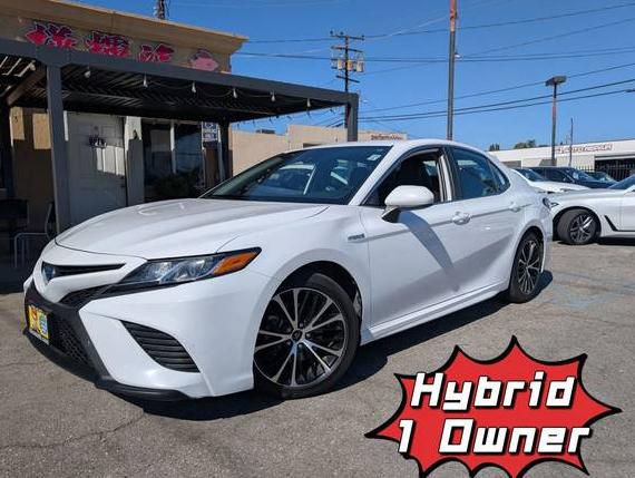 TOYOTA CAMRY 2020 4T1G31AK3LU533884 image