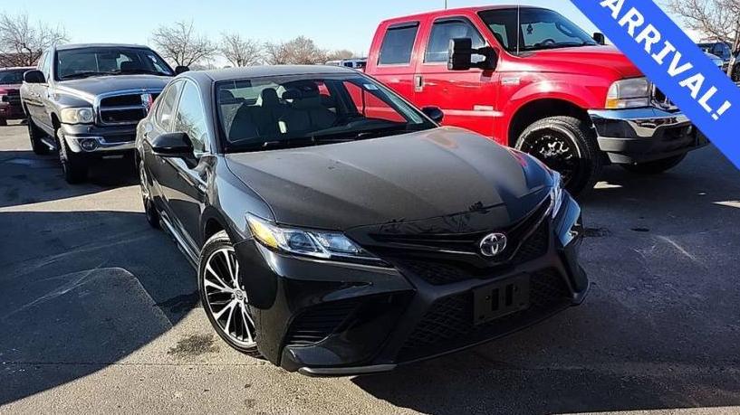 TOYOTA CAMRY 2020 4T1G31AK4LU535336 image