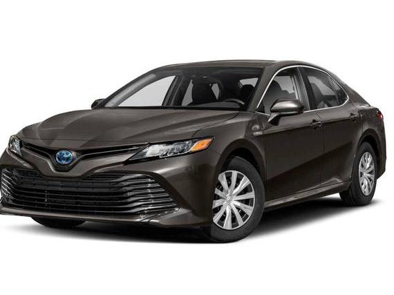 TOYOTA CAMRY 2020 4T1C31AK0LU545263 image