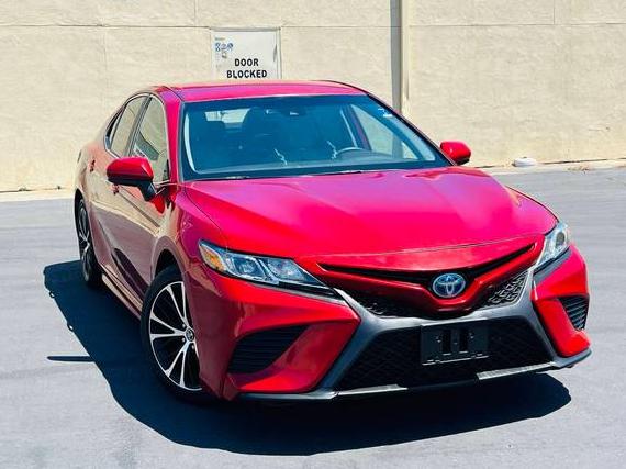 TOYOTA CAMRY 2020 4T1G31AK1LU010699 image