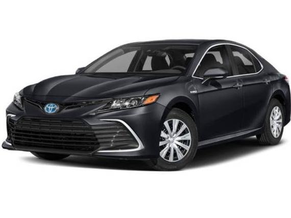 TOYOTA CAMRY 2022 4T1G31AK4NU035115 image